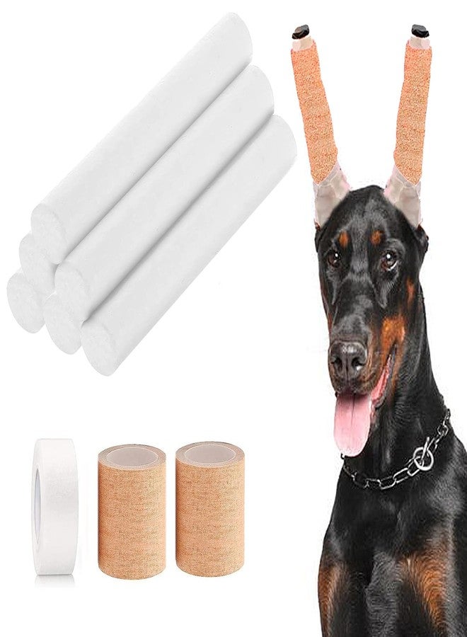 Pacify Doberman Dog Ear Posting Kit, Dog Ear Stand Up Support Tool with Tape Doberman Pinscher Dogs - Image 1